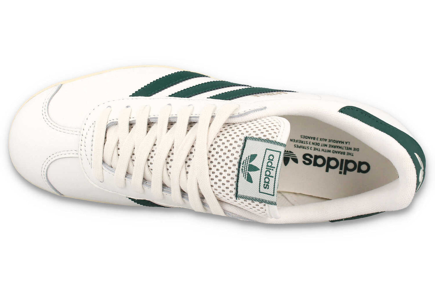 Gazelle