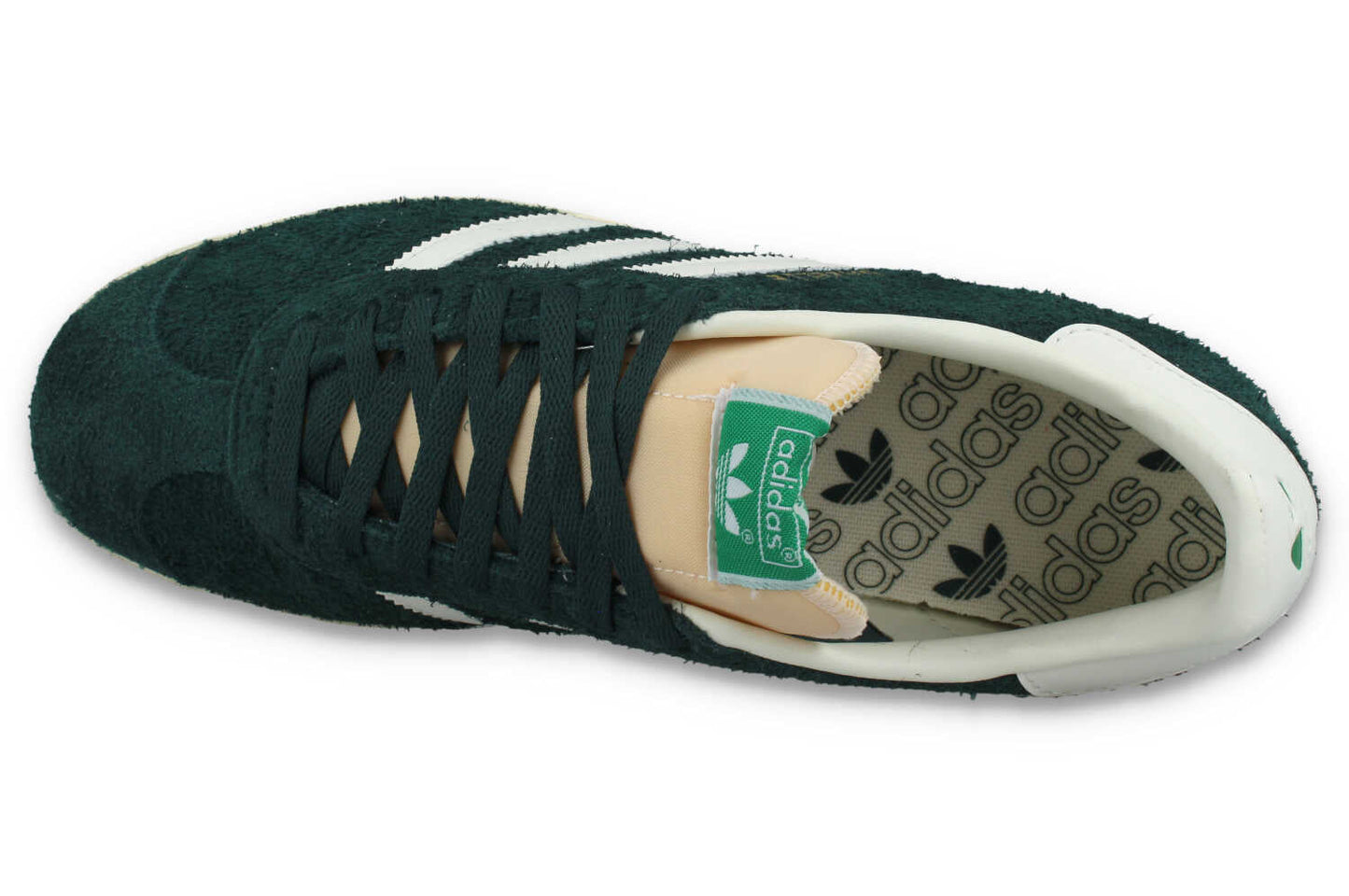Gazelle