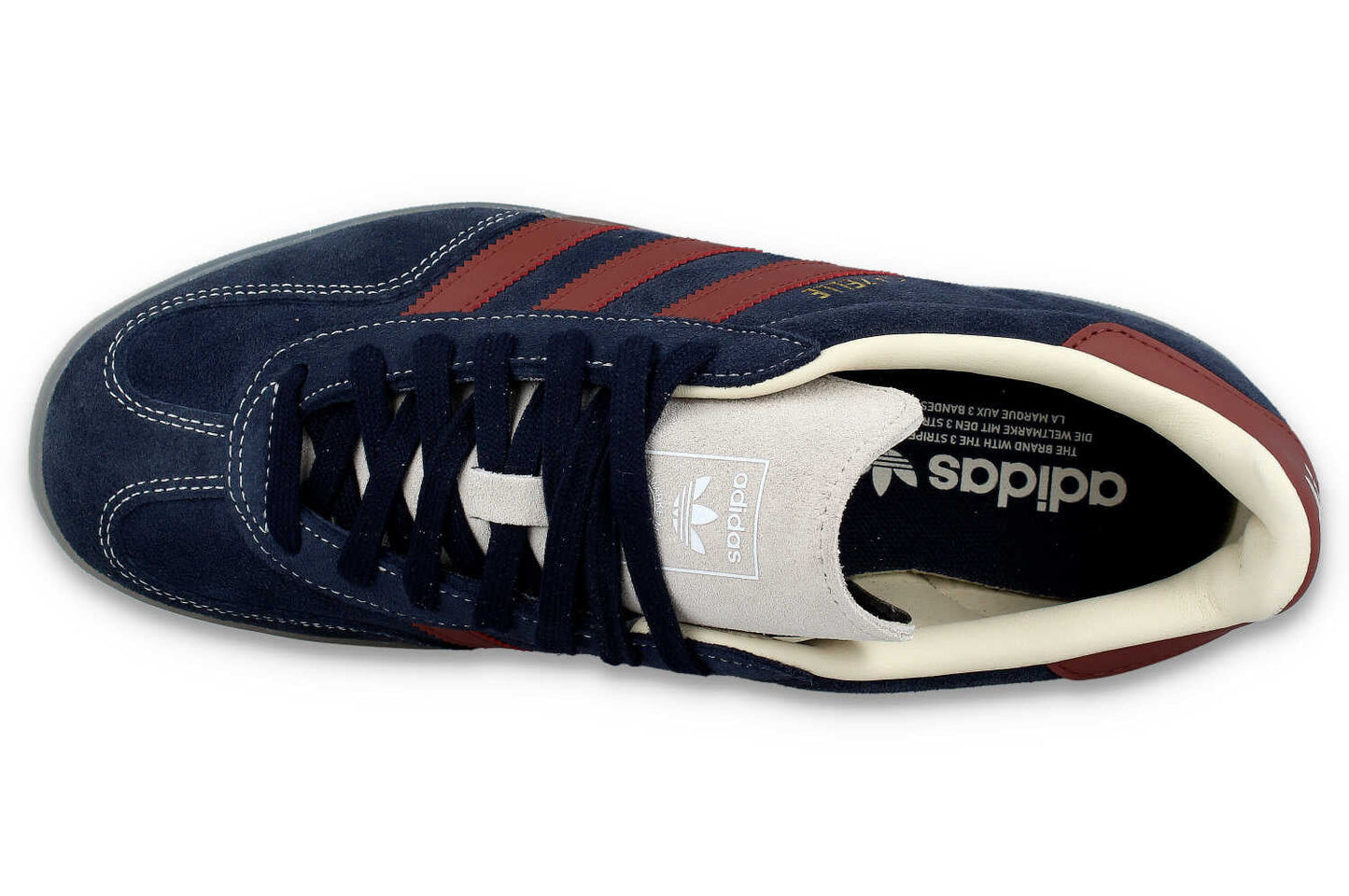 Gazelle Indoor