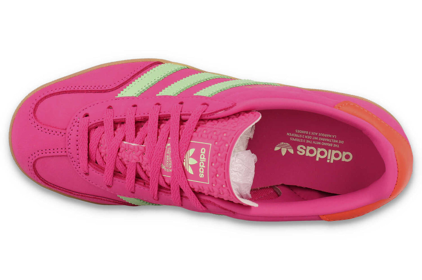 Gazelle Indoor W