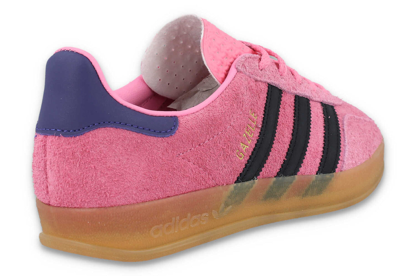 Gazelle Indoor W