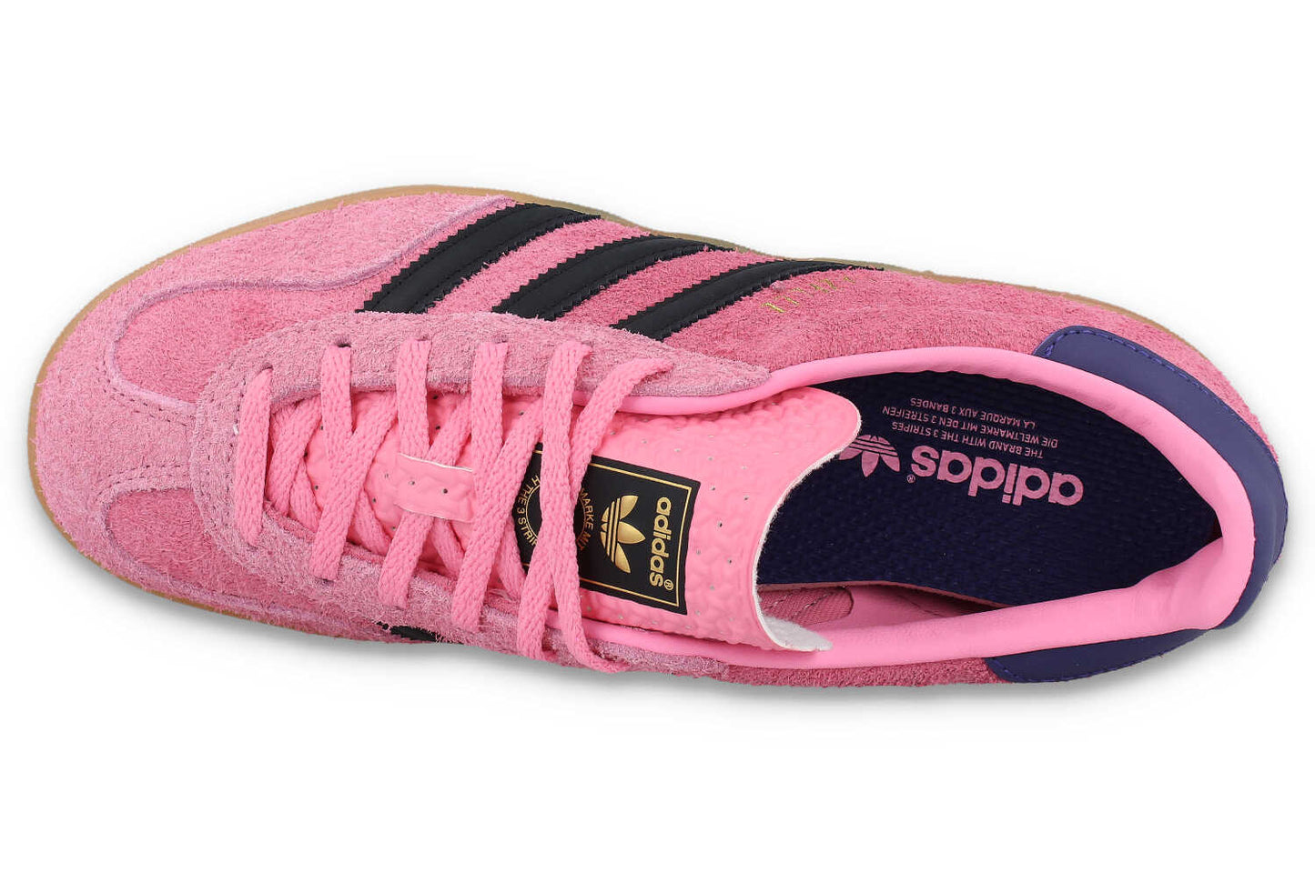 Gazelle Indoor W