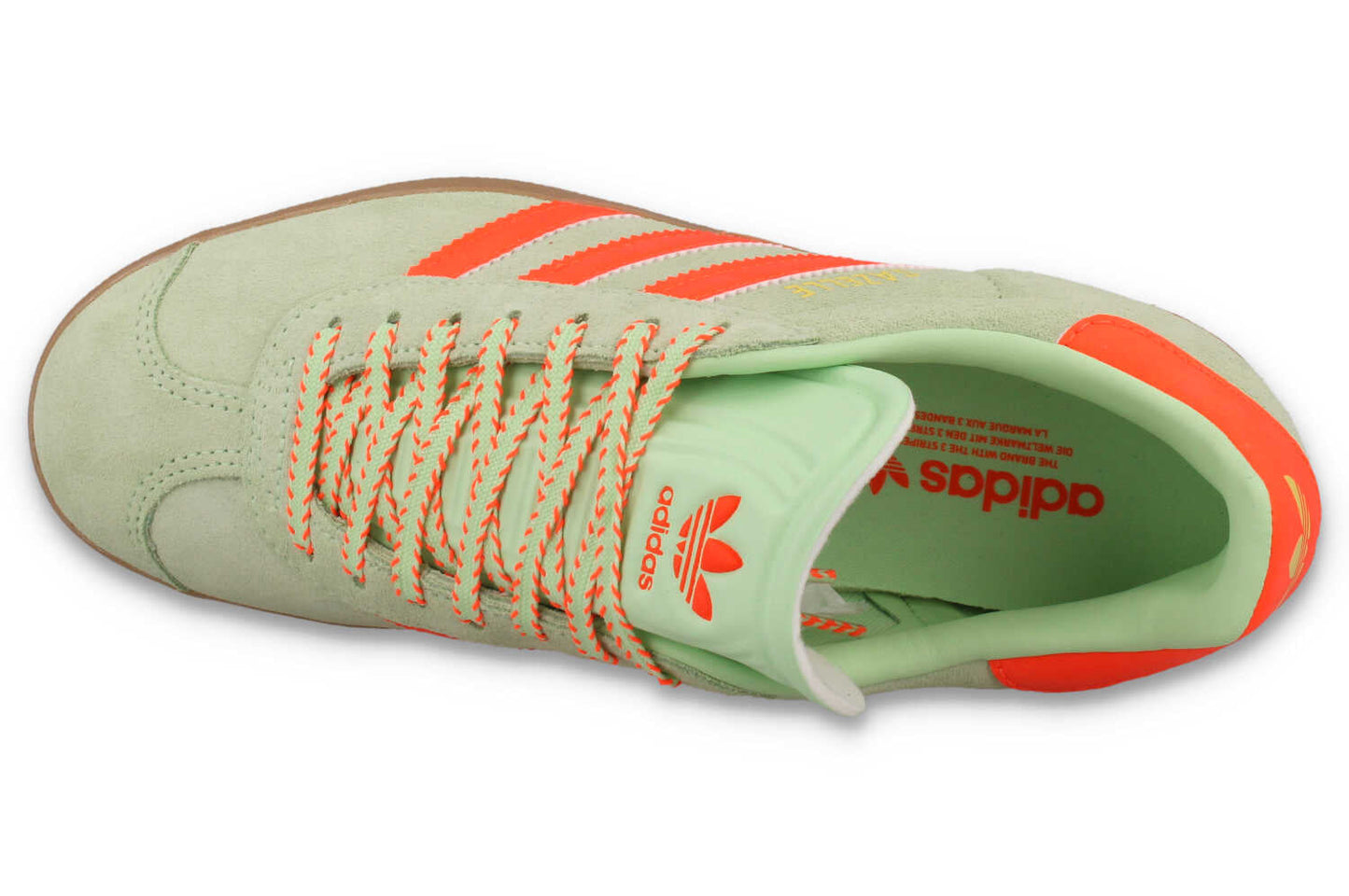Gazelle W