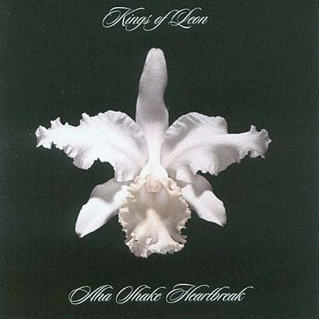 Aha Shake Heartbreak - Kings of Leon [VINYL]