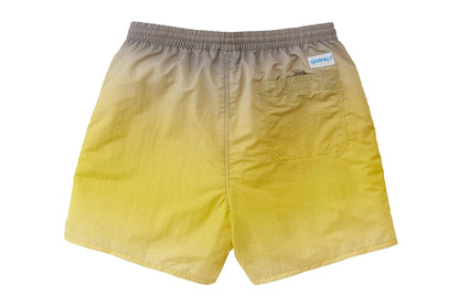 Tide Swim Shorts