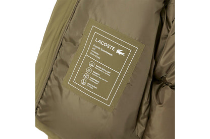 Down jacket with hood