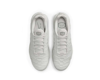 Nike Air Max Plus A Cold Wall